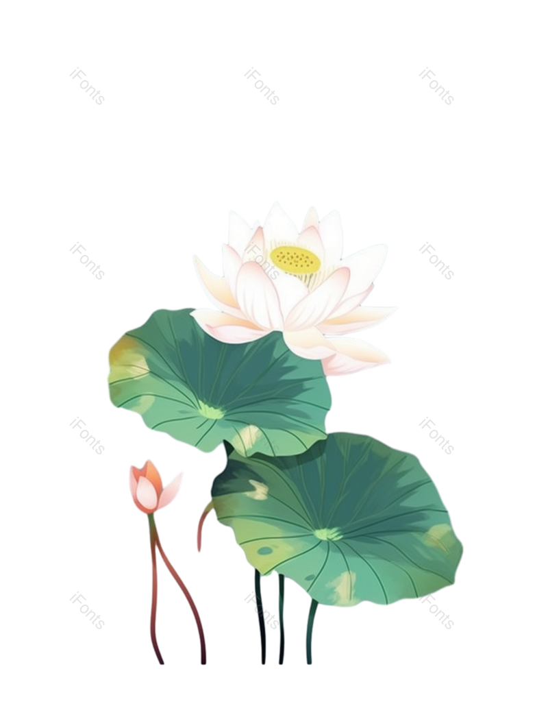 清新图片,荷花元素,夏天PNG,传统免抠素材